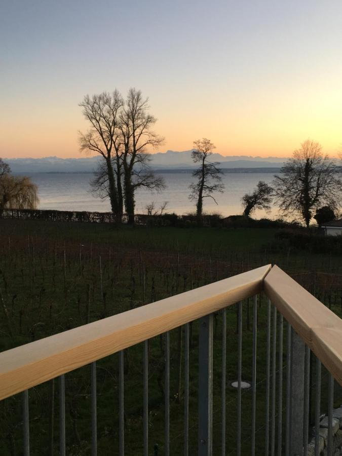 Appartementhotel Roehrenbach Immenstaad am Bodensee Esterno foto