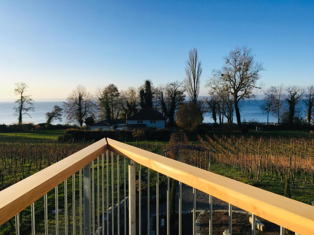 Appartementhotel Roehrenbach Immenstaad am Bodensee Esterno foto