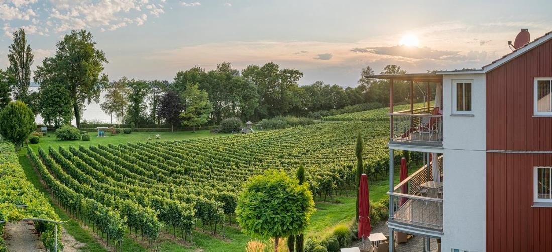 Appartementhotel Roehrenbach Immenstaad am Bodensee Esterno foto