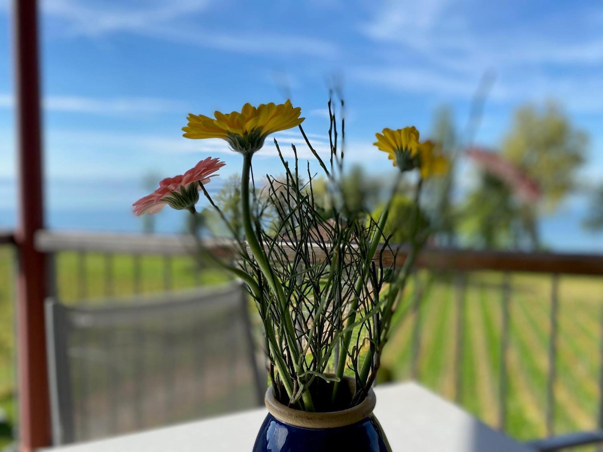 Appartementhotel Roehrenbach Immenstaad am Bodensee Esterno foto